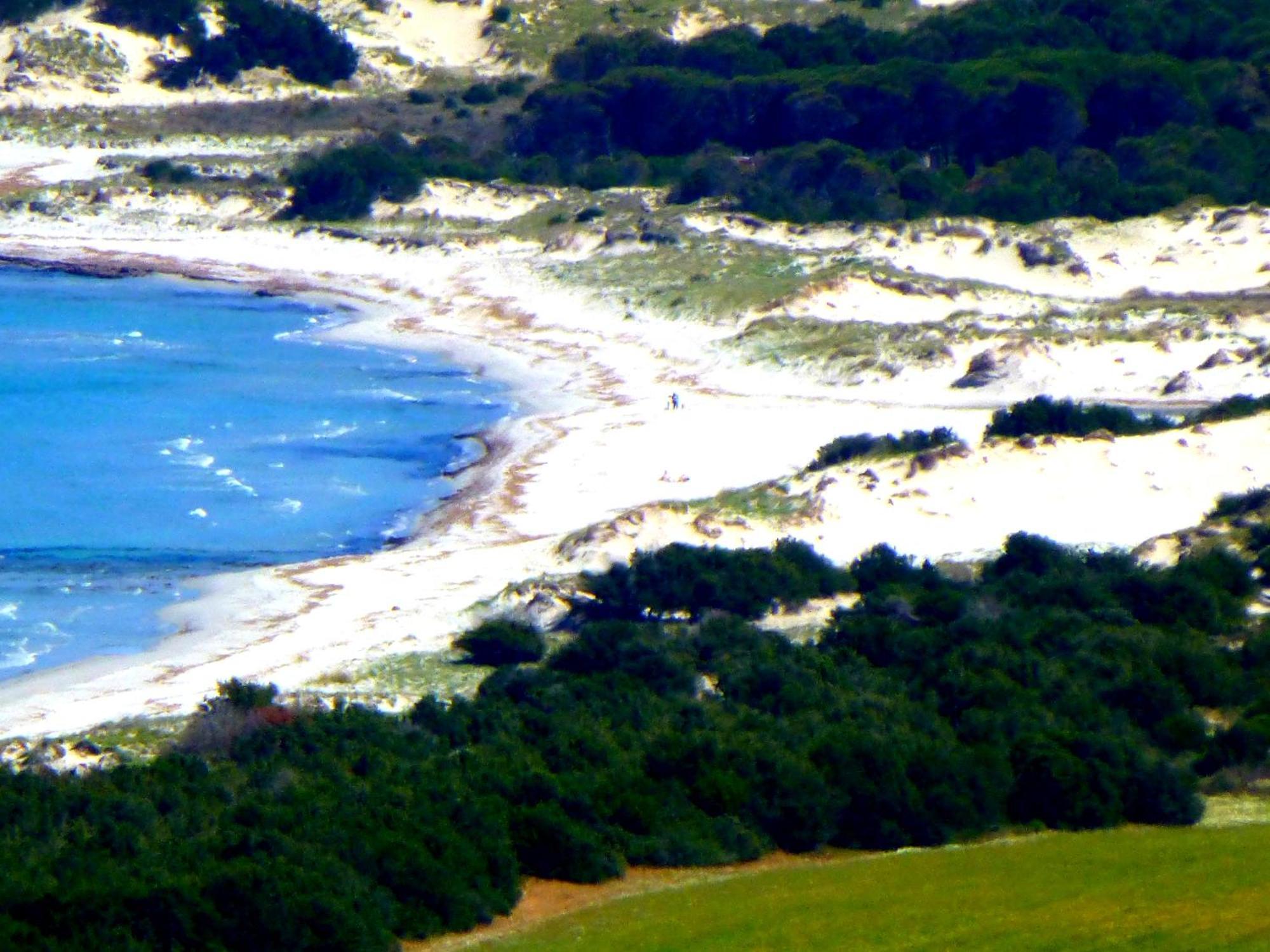 Comino Alto Agriturismo E Appartamenti Siniscola Eksteriør billede