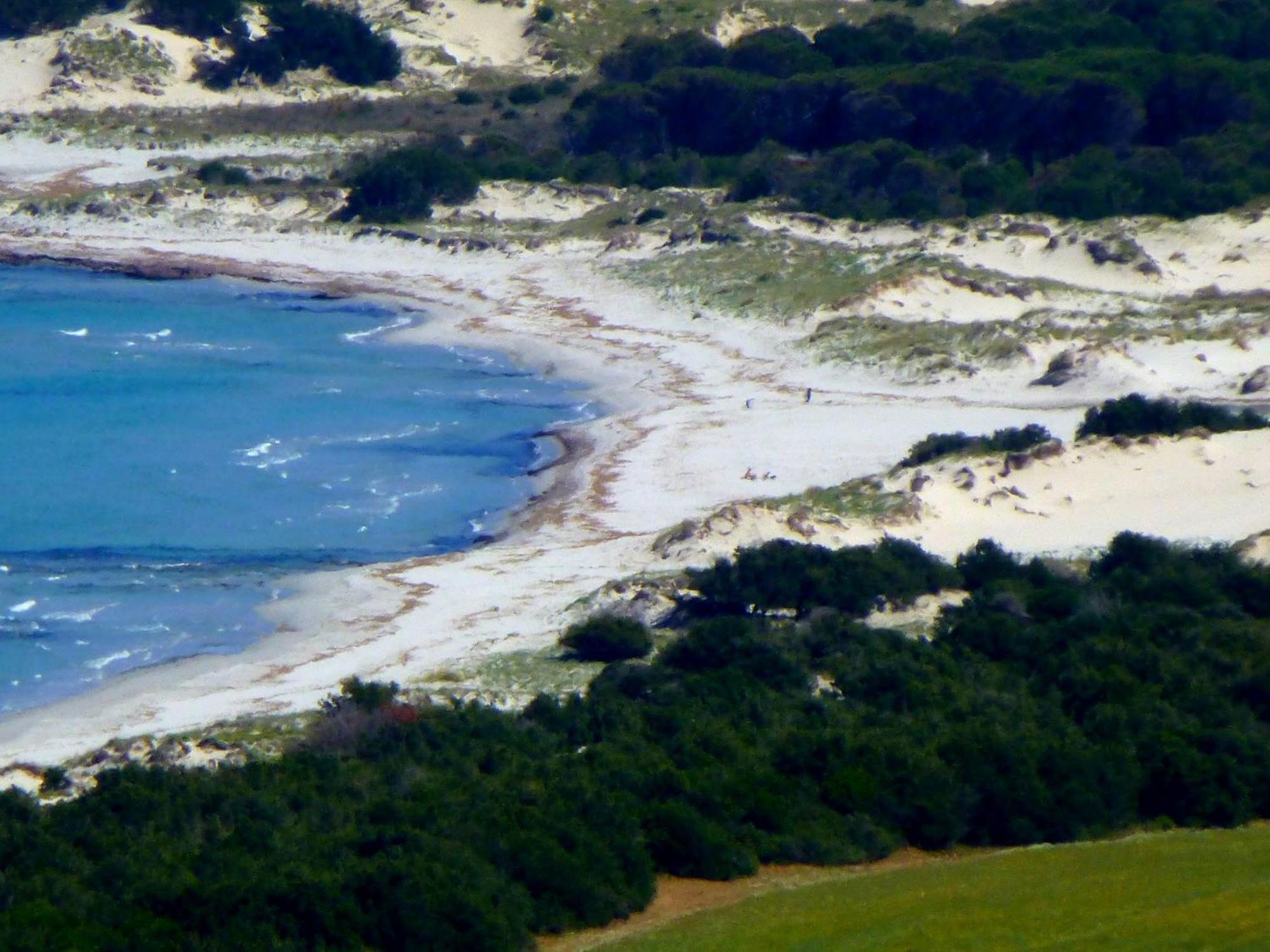 Comino Alto Agriturismo E Appartamenti Siniscola Eksteriør billede