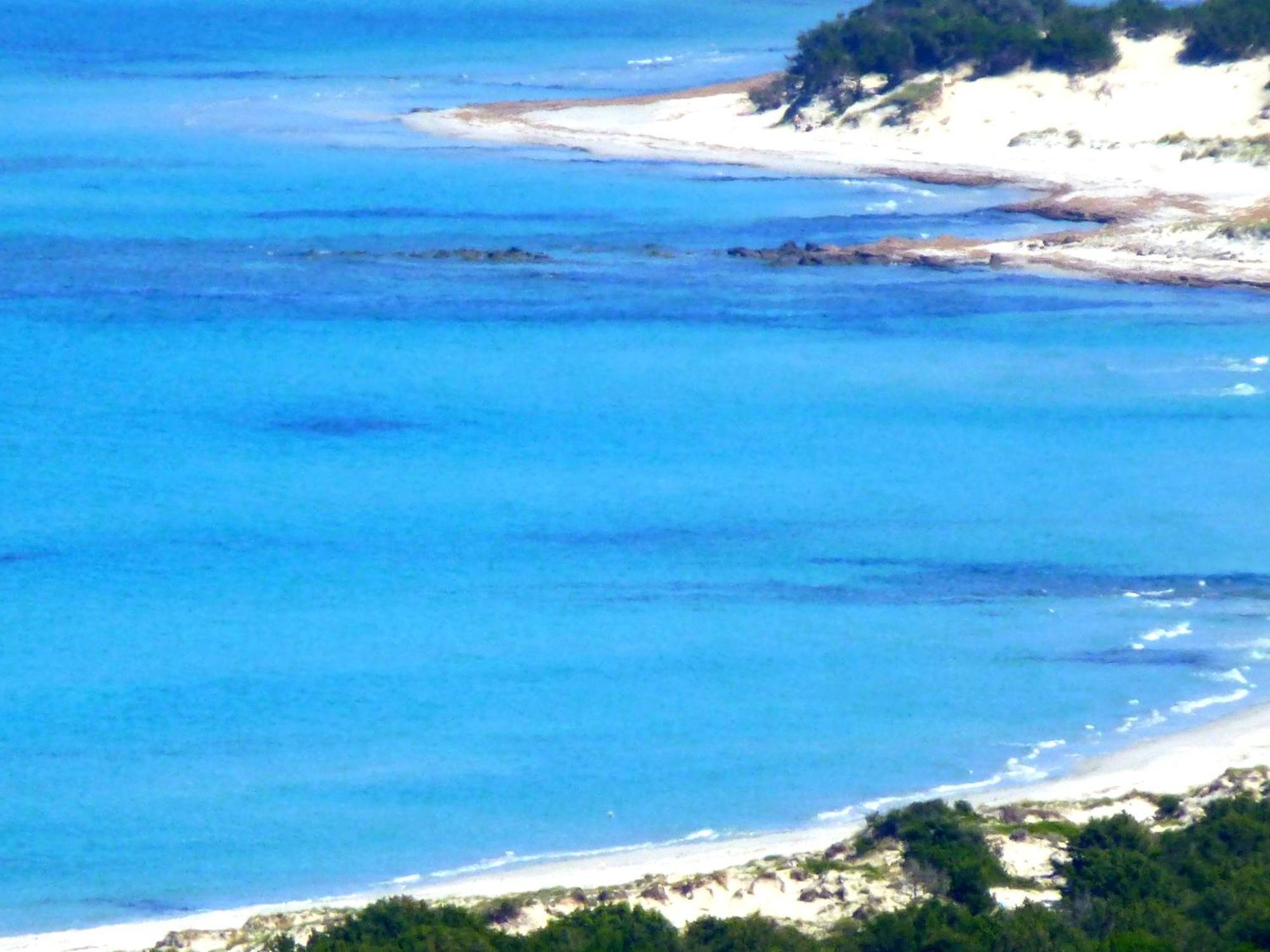 Comino Alto Agriturismo E Appartamenti Siniscola Eksteriør billede