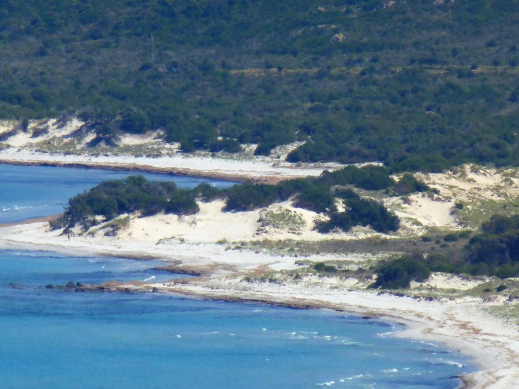 Comino Alto Agriturismo E Appartamenti Siniscola Eksteriør billede