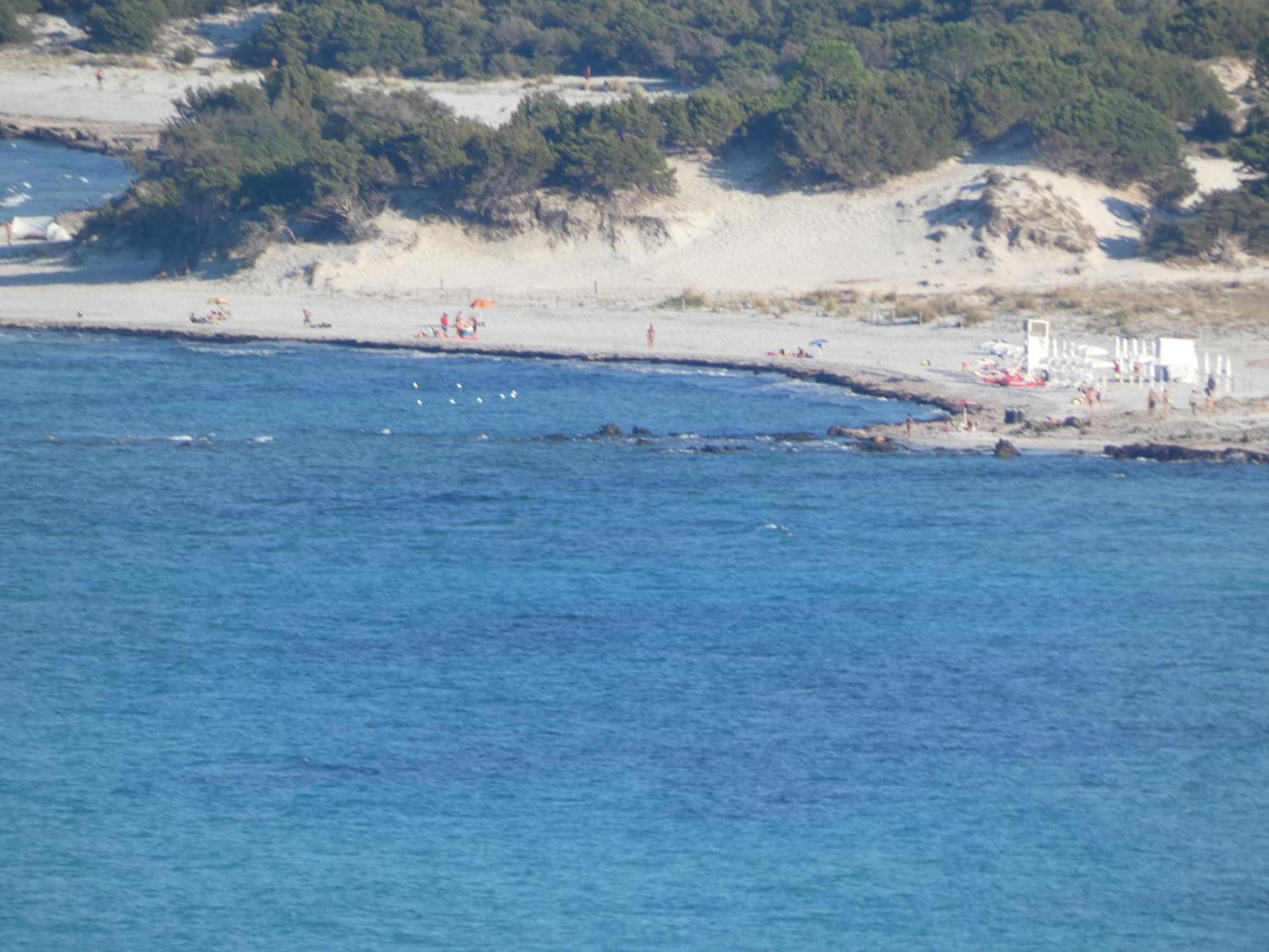 Comino Alto Agriturismo E Appartamenti Siniscola Eksteriør billede