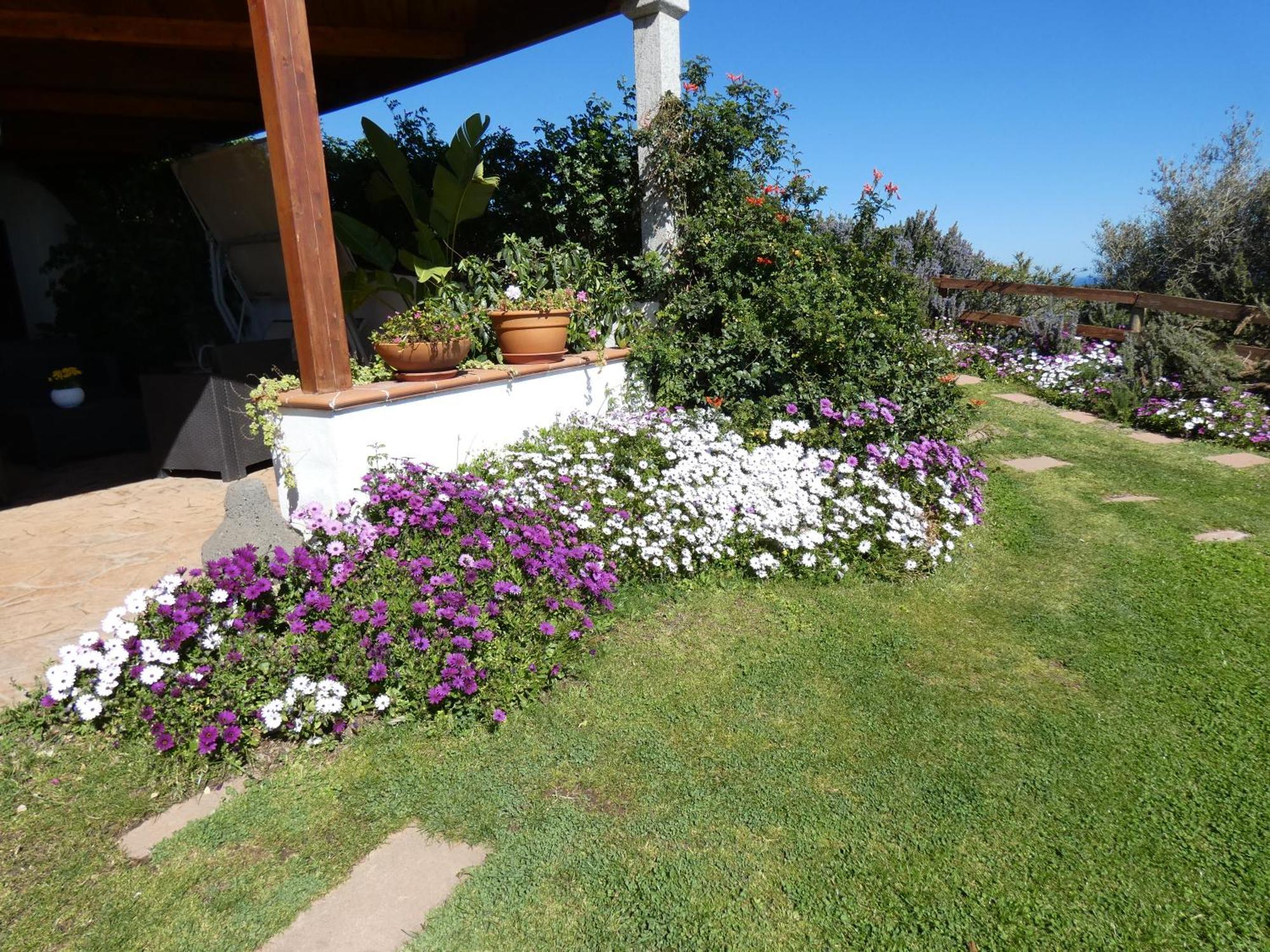 Comino Alto Agriturismo E Appartamenti Siniscola Eksteriør billede