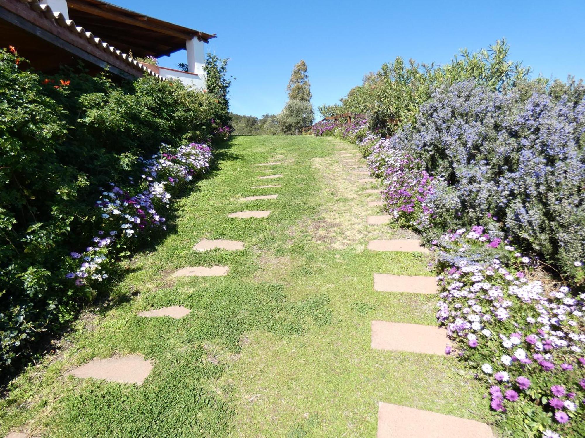 Comino Alto Agriturismo E Appartamenti Siniscola Eksteriør billede